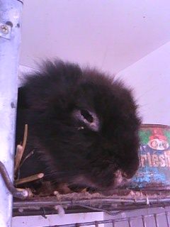 img0044a.jpg