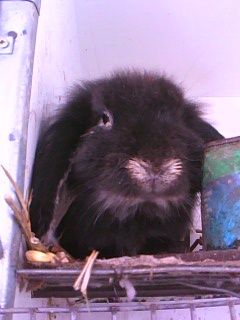 img0046a.jpg