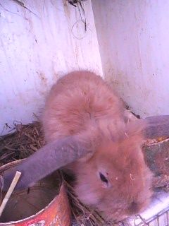 img0049a.jpg